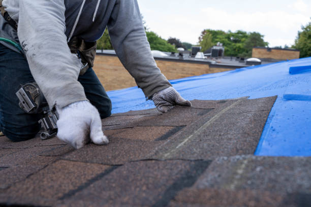 Best Chimney Flashing Repair  in Groveland, FL